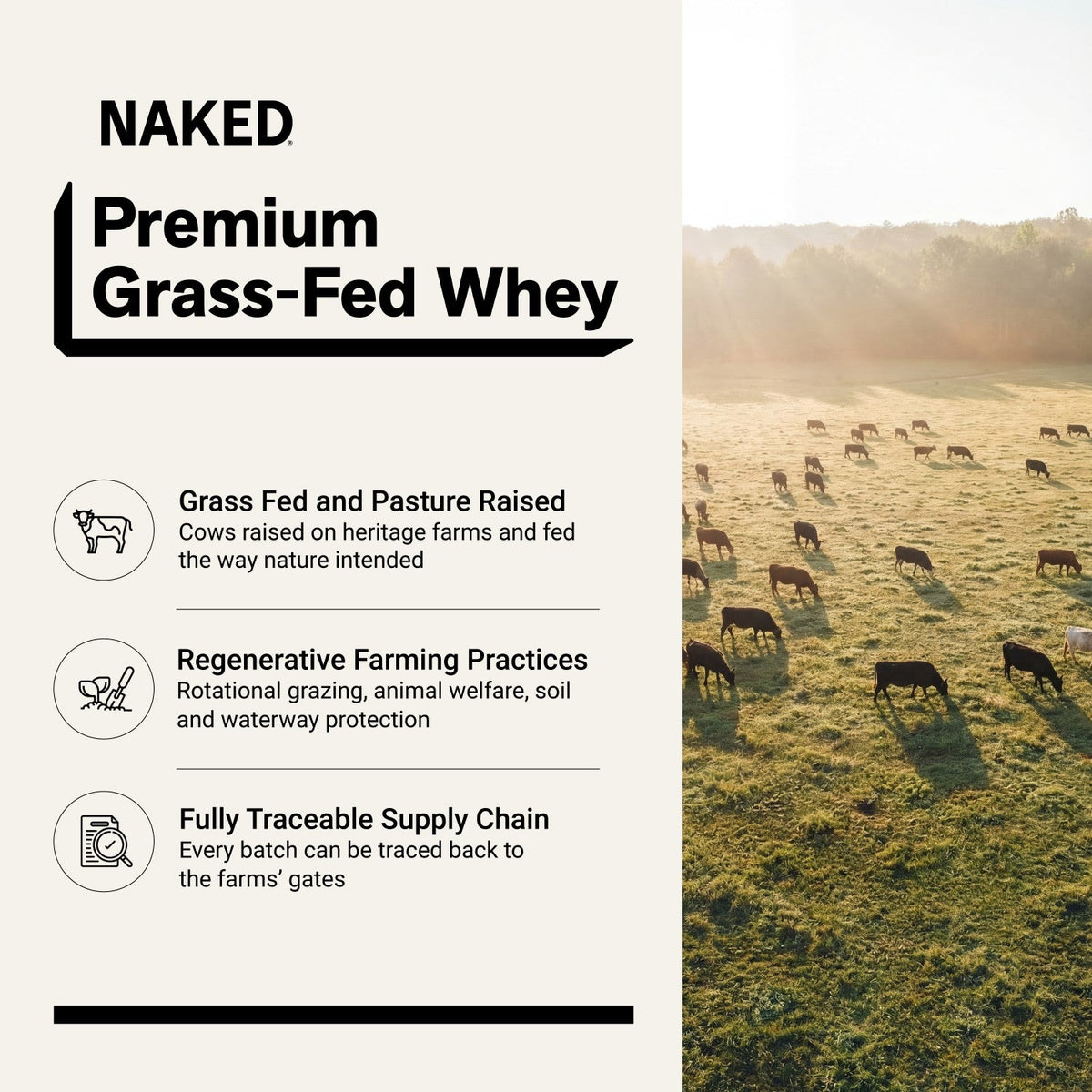 NAKED Whey Strawberry 5LB - product image 2